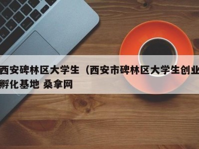 厦门西安碑林区大学生（西安市碑林区大学生创业孵化基地 桑拿网