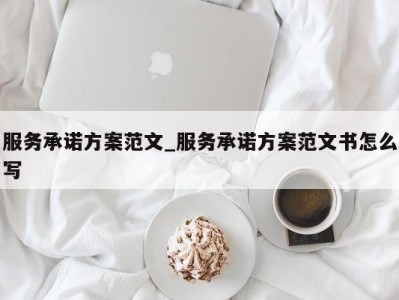 厦门服务承诺方案范文_服务承诺方案范文书怎么写 