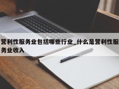 厦门营利性服务业包括哪些行业_什么是营利性服务业收入 